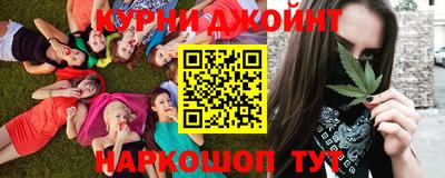 гидра Краснознаменск