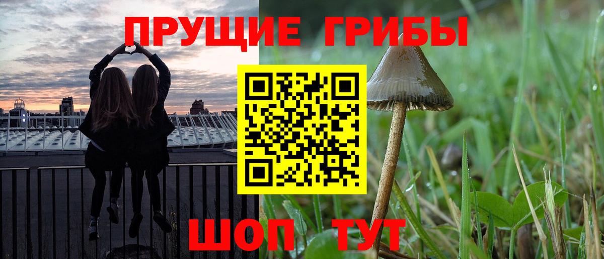 Псилоцибиновые грибы GOLDEN TEACHER Коммунар
